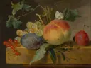 Stilleven met fruit van Jan van Huysum: stilleven met perzik, druiven, bessen en pruim, in licht met roze en groen