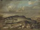 Strand met vissen en schelpen; in de achtergrond twee zeilschepen van Jan van Kessel the Elder: zee met vis