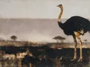 Schilderij: struisvogel op de savanne