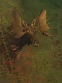 Study of a Moose van Albert Bierstadt: dieren met eland, gewei, gras en varens, in groen en bruin