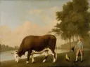 George Stubbs
