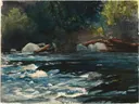 The Rapids, Hudson River, Adirondacks van Winslow Homer: landschap met stroomversnelling, rivier, rotsen en bos, in donkerblauw en groen