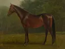 (Thoroughbred044243) van Albert Bierstadt: dieren met paard, weide, bomen en bruin paard, in warm bruin en groen