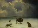 Trapped van Albert Bierstadt: dieren met bizon, wolven, sneeuw en winter, in wit en grijsbruin