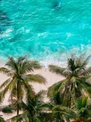 Luchtfoto van palmbomen aan een tropisch strand met turquoise zee
