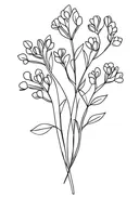 Lijntekening van tulpenboeket in knopvorm