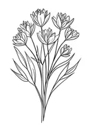 Lijntekening van tulpenboeket met lotusvorm