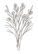 Lijntekening van boeket tulpenknoppen