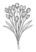 Lijntekening van tulpenruiker in knop