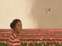 Tulpenveld in diep olijf en roze, schilderij van tulpenveld