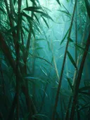 Schilderij van een bamboebos in turquoise mist