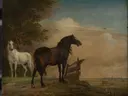 Dierschilderij 'Twee Paarden in de Weide bij een Hek' naar Paulus Potter
