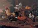 Twee pauwen, haan, kippen en eenden in een tuin van Melchior d'Hondecoeter: dieren met haan, kippen, fazant en duiven, in warm bruin met rood