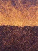 Action painting schilderij, twee vlakken (drip) in gouden uur