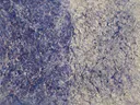 Action painting schilderij, twee vlakken (drip) in kobalt en violet