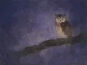 Schilderij van een uil, oosterse stijl in amethist