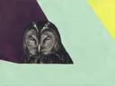 Schilderij van uil in aubergine en mint, in vlakke kleurvlakken