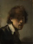 Van Rijn Zelfportret (1629) van Rembrandt: portret