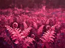 Varen in het landschap in fuchsia, schilderij van varen