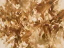 Action painting schilderij, veeg (sweep) in karamel