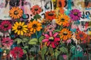 Veld met kleurrijke madeliefjes tegen graffiti muur met tekst
