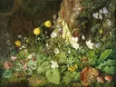 Veldbloemen en paddenstoelen in het bos van Franz Xaver Petter: stilleven