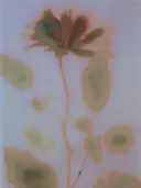 Wazige macrofoto van een bloem en bladeren in vervaagde pastelkleuren