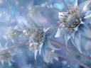 Schilderij van blauwwitte sterdistels met vlinders