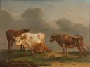 Vier koeien in de wei van Paulus Potter: dieren met koeien, weide, gras en wolken, in warm bruin met blauw