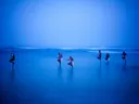 Silhouetten van paalvissers in ondiep zeewater tijdens het blauwe uur.