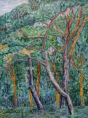 Vliegdennenbos van Jacoba van Heemskerck: landschap met bomen, dennen, bos en takken, in groen met roze en blauw