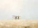 Schilderij van mensen bij een vliegtuig in een korenveld