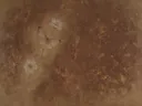 Schilderij van een vlinder, oosterse stijl in kastanje en goud