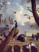 Vogels bij een balustrade met in de achtergrond het Stadhuis van Melchior d'Hondecoeter: dieren met pauw, duiven, vogels en balustrade, in grijsblauw met wit
