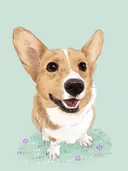 Illustratie van een lachende corgi