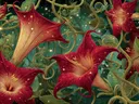 Schilderij van vurige rode trompetbloemen met gouden adering tussen groene ranken