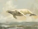 Walvis die boven het water zweeft