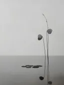 Minimalistisch schilderij met waterlelieblaadjes