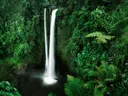 Een dubbele waterval die neerstort tussen weelderige varens en groene jungle-begroeiing.