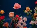 Boeket rozen en andere bloemen tegen een donkerblauwe achtergrond