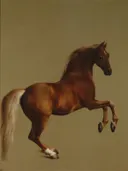 Whistlejacket van George Stubbs: dieren met paarden en renpaard