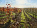 Landschapsschilderij, wijngaard in de herfst in de vroege lente