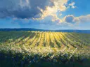 Landschapsschilderij, wijnranken over de helling in gebroken licht