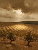 Landschapsschilderij, wijnranken over de helling op rode aarde