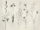 Inkttekening van wilde bloemen en grassen
