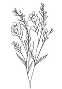Lijntekening van wilde bloementakken