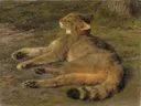 Wilde kat van Rosa Bonheur