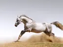 Wit paard galoppeert door zandduinen