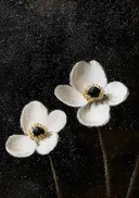 Schilderij van witte anemonen op zwarte achtergrond