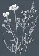 Lijntekening van witte bloemen op blauwe achtergrond